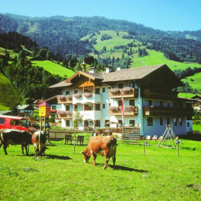 Unterbergerwirt, Dorfgastein, Österreich, Dorfgastein, Österreich